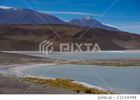 ウユニーアタカマツアー ウユニーアタカマツアー 21514498