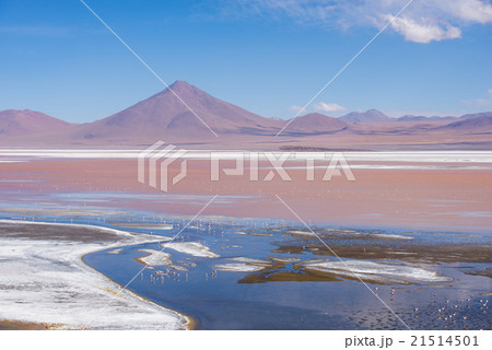 ウユニーアタカマツアー ウユニーアタカマツアー 21514501