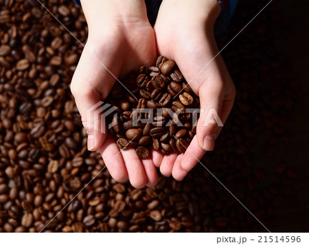 コーヒーとコーヒー豆 21514596