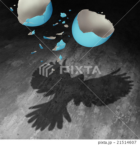 Concept Of Freedom 21514607