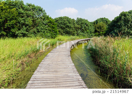 Wooded bridge over the river 21514967