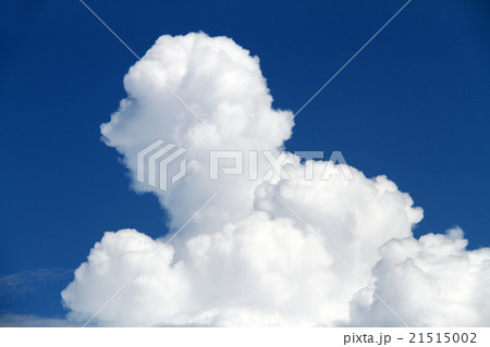 真夏の空 21515002