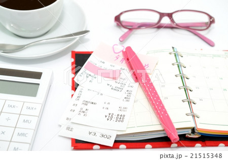 支出管理 21515348