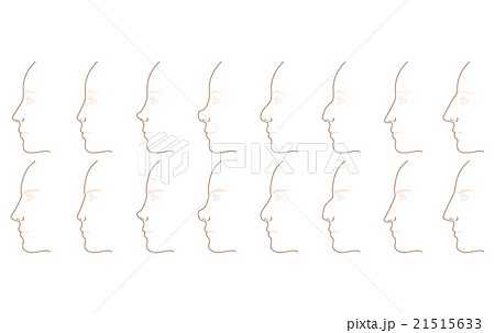 横顔 鼻の形のイラスト素材