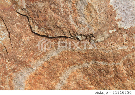 岩石標本　薬石（石英班岩）（1億年前） 21516256