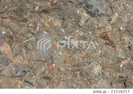 岩石標本　礫岩（2億年前） 21516257