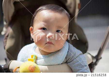 8 months old 21516258