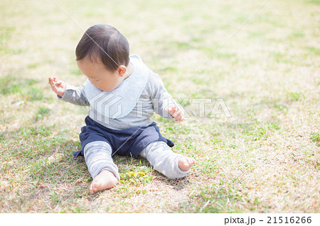 8 months old 21516266