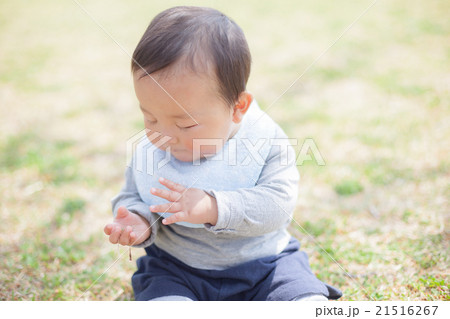 8 months old 21516267