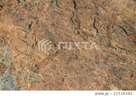 岩石標本 キツネ石の写真素材