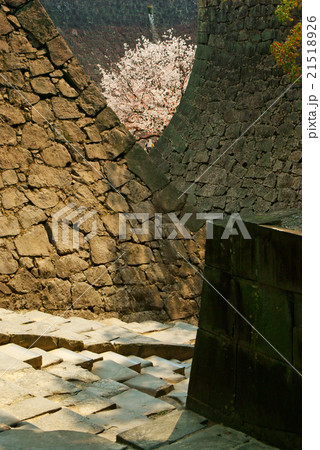 熊本城 熊本城 21518926