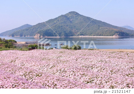 花と潮のメロディ 花と潮のメロディ 21521147