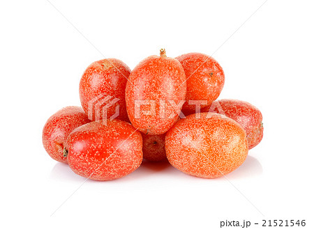 croton tiglium isolated on the white background croton tiglium isolated on the white background 21521546
