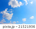 青空 21521936