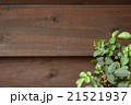 バラの葉と木目の背景 21521937