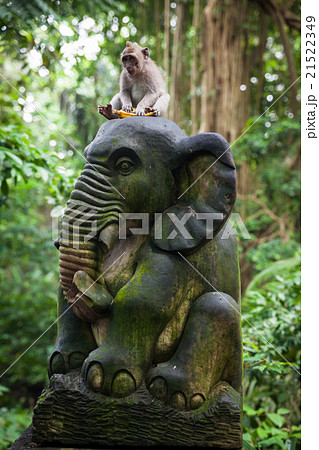 Monkey Forest Sanctuary, Ubud, Bali Monkey Forest Sanctuary, Ubud, Bali 21522349