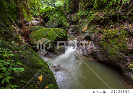 Monkey Forest Sanctuary, Ubud, Bali, Indonesia Monkey Forest Sanctuary, Ubud, Bali, Indonesia 21522356