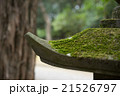 苔のはえた灯籠 21526797