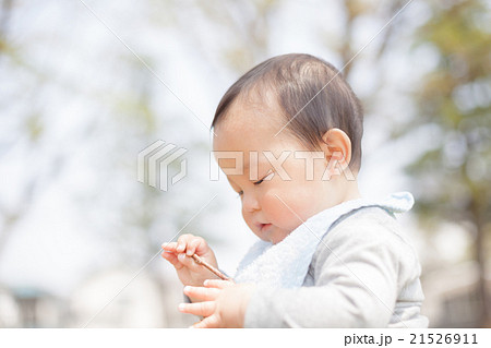8 months old 21526911