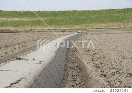 水を引く前の整備された田の畦道 21527145