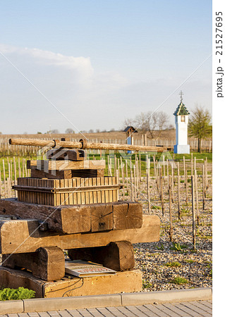 wine press and wayside with vineyard wine press and wayside with vineyard 21527695