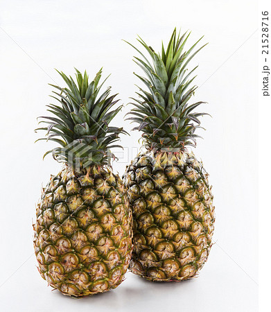 Two pineapples on a white background - Stock Photo [21528716] - PIXTA