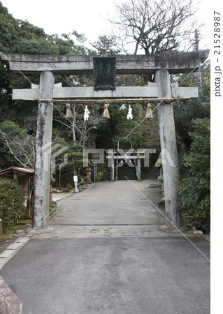 境内_玉作湯神社 21528987