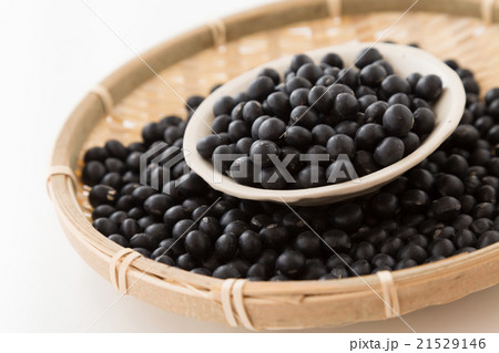 黒大豆　白バック 21529146