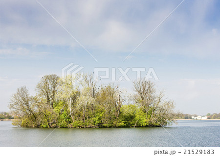 Hlohovecky pond, region Lednice-Valtice Hlohovecky pond, region Lednice-Valtice 21529183