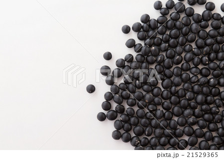 黒大豆　白バック 21529365