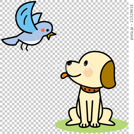 Hello! Hello! 21529618