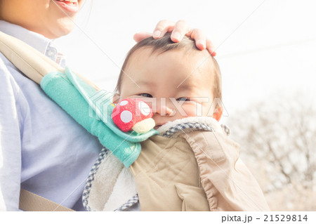 8 months old 21529814
