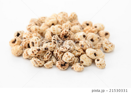 タイガーナッツ タイガーナッツ 21530331