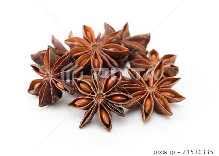 スターアニス 21530335