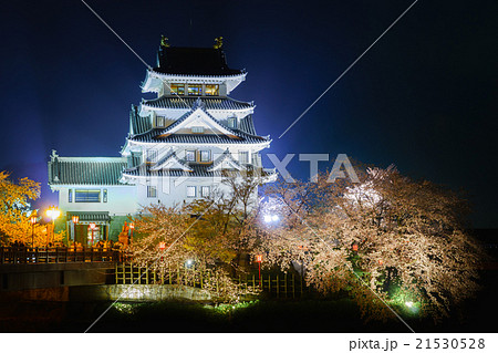 墨俣一夜城の夜桜 21530528