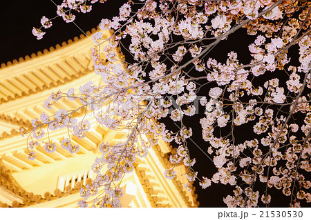 墨俣一夜城の夜桜 墨俣一夜城の夜桜 21530530