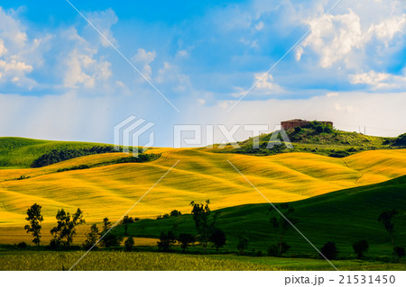 Hills with light and shadow 21531450
