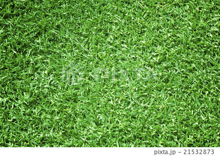 Golf Courses green lawn Golf Courses green lawn 21532873