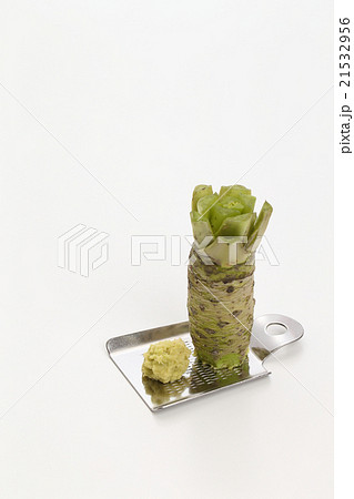 わさびおろし 21532956