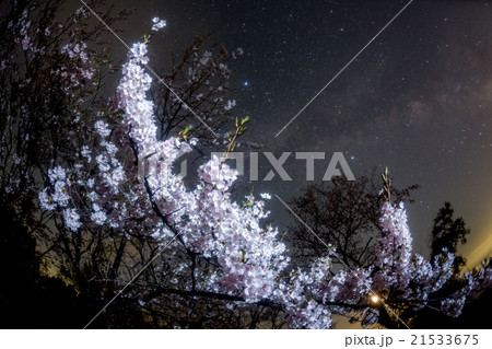 桜と天の川の写真素材