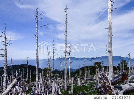 大台ケ原 21533972