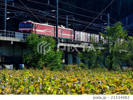 秋の鉄道風景 秋の鉄道風景 21534062