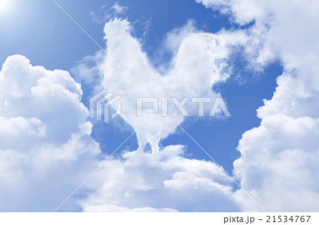 鶏雲 鶏雲 21534767