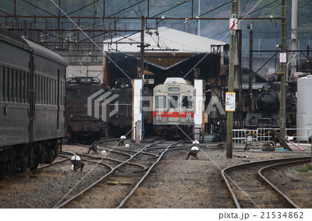 大井川鉄道 21534862