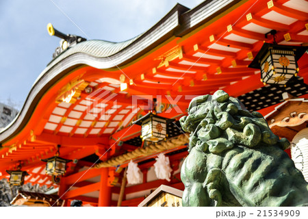 生田神社の狛犬 21534909