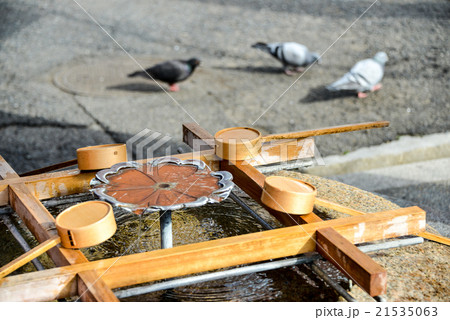 生田神社手水舎と鳩 生田神社手水舎と鳩 21535063