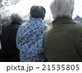 日向ぼっこ 21535805