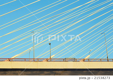 Big Obukhovsky bridge (cable-stayed) 21538273