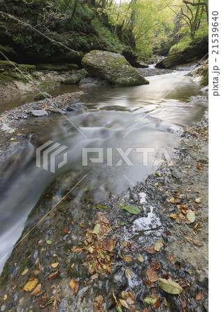 秋保大滝上流二口渓谷の天然記念物 姉滝 初秋の色づく紅葉落ち葉が綺麗な渓谷の写真素材