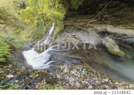 二口渓谷の天然記念物「姉滝」前後左右に二条に分かれ洞穴と滝とが結合した珍しく美しい滝の落水ポイント 21539642
